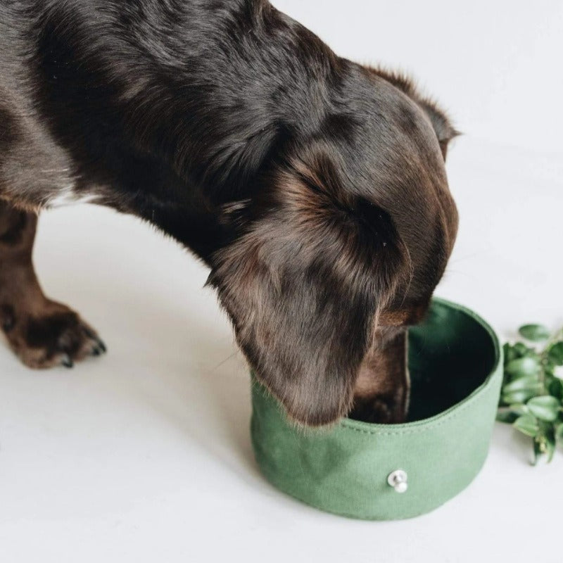 Milo & Birch™ TrailFold Travel Bowl